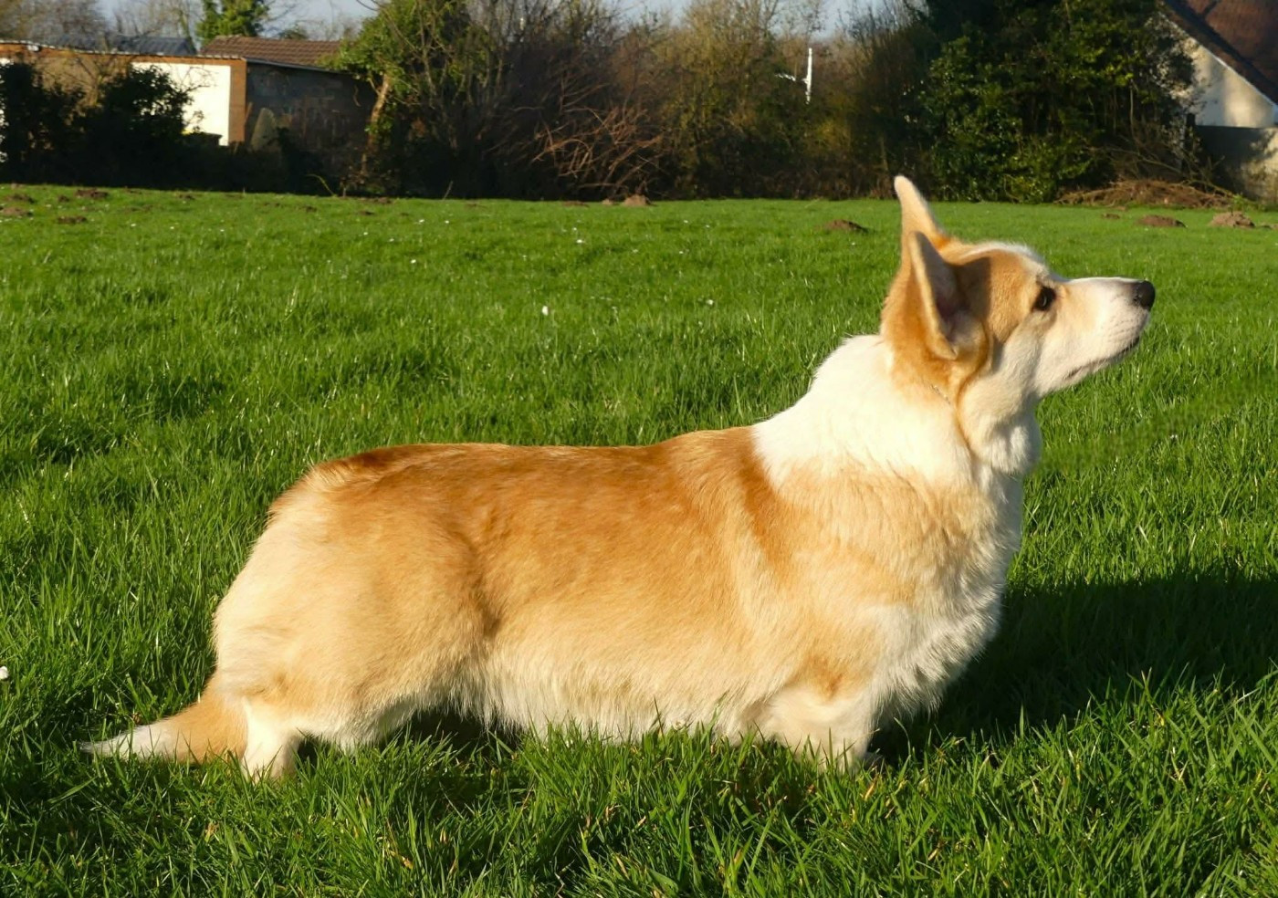 Unchain me o f iron's star des Contamines