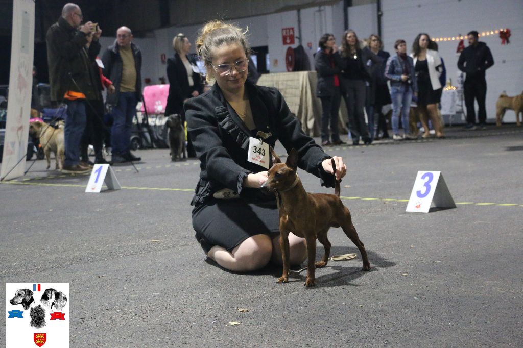 Sleipnir black blood